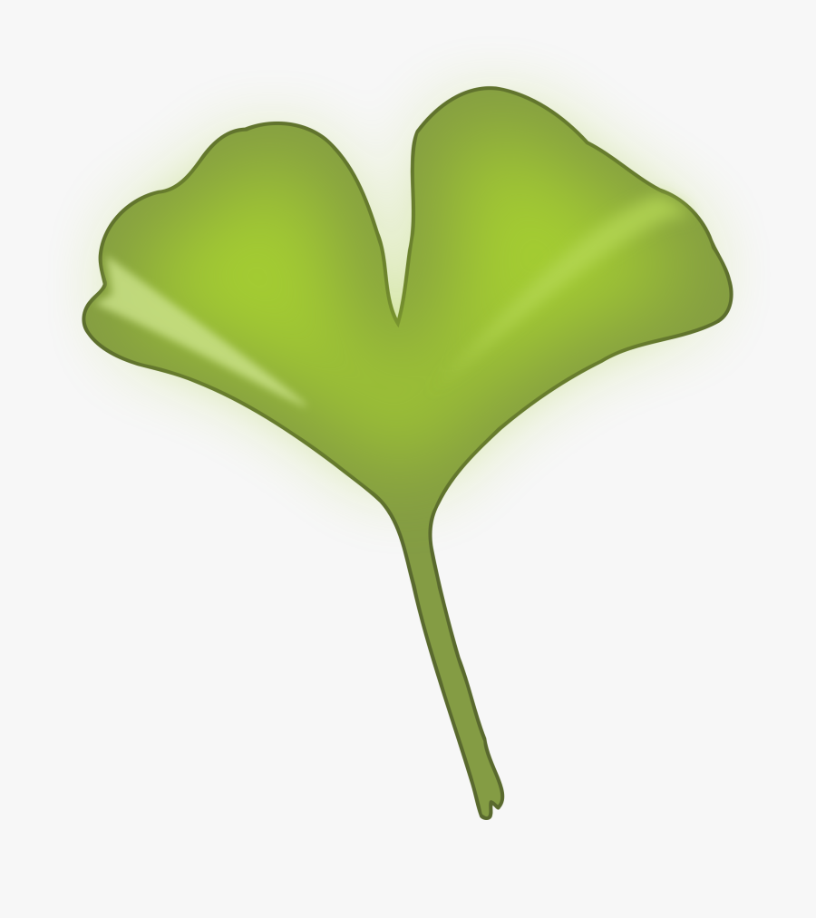 This Free Icons Png Design Of Ginkgo Biloba Leaf - Ginkgo Biloba Leaf Png, Transparent Clipart