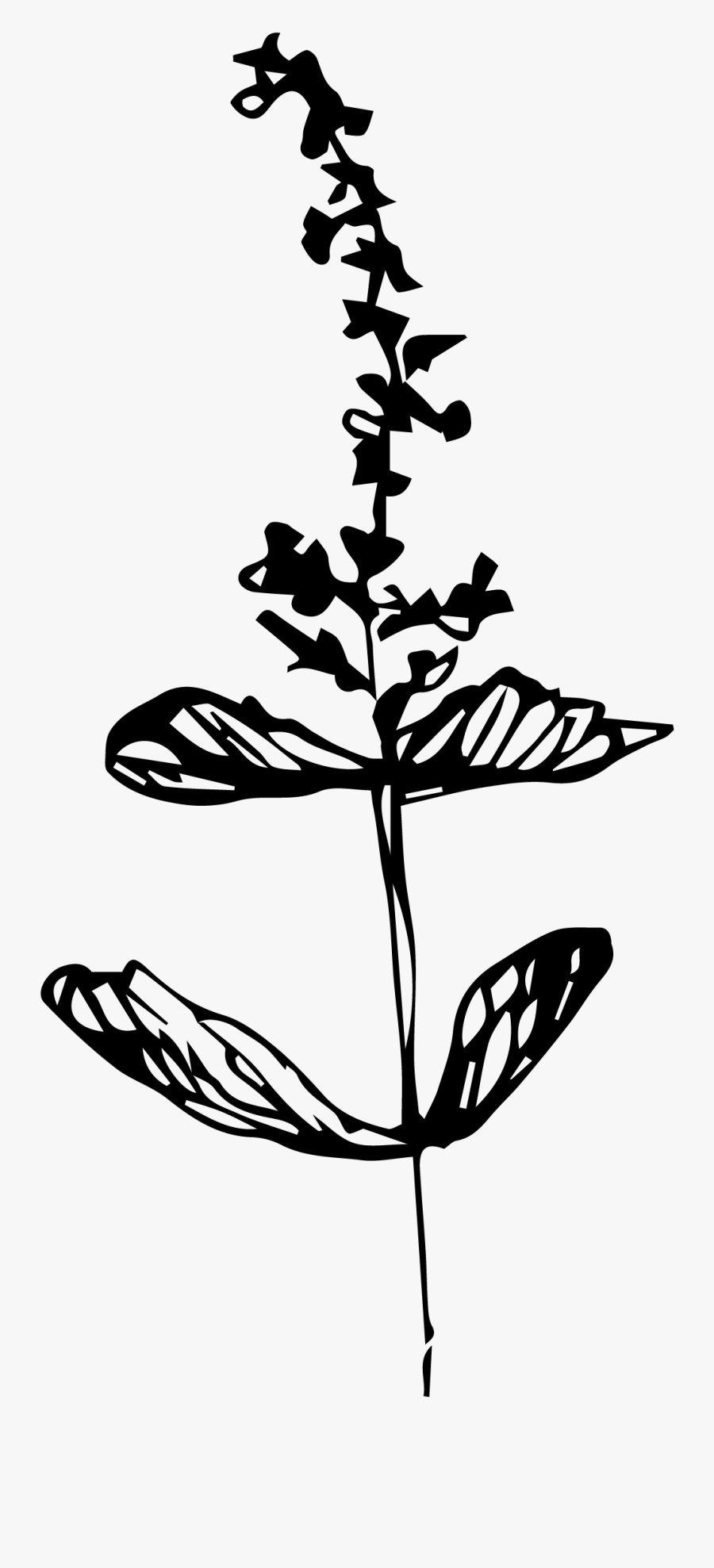 Elemental Herbalism Webinar The - Illustration, Transparent Clipart