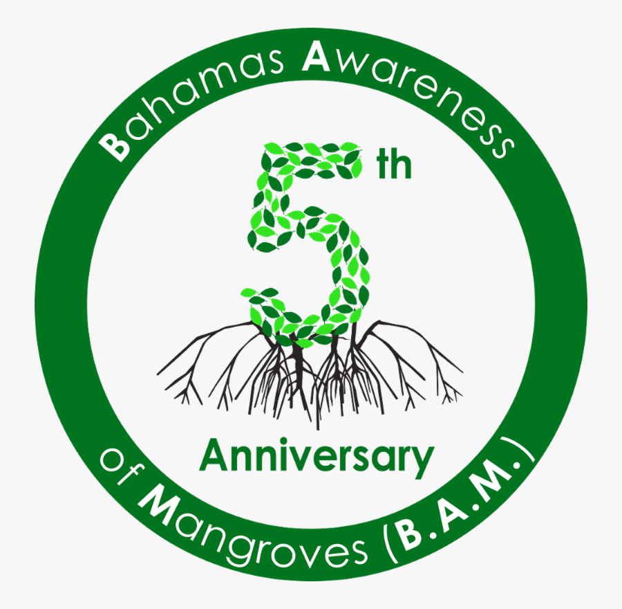 Circle, Transparent Clipart