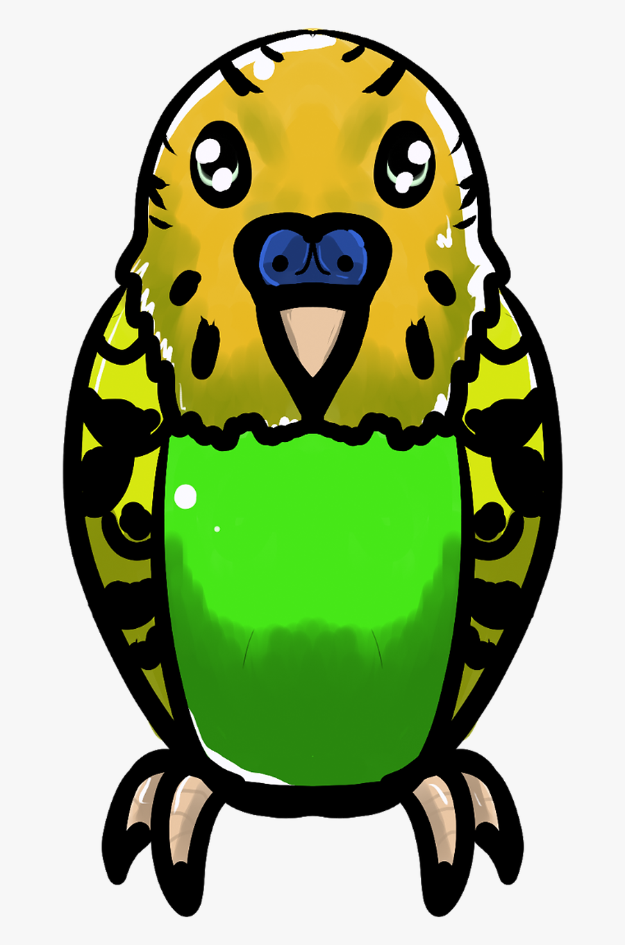 Budgie Parrot Bird Free Picture, Transparent Clipart