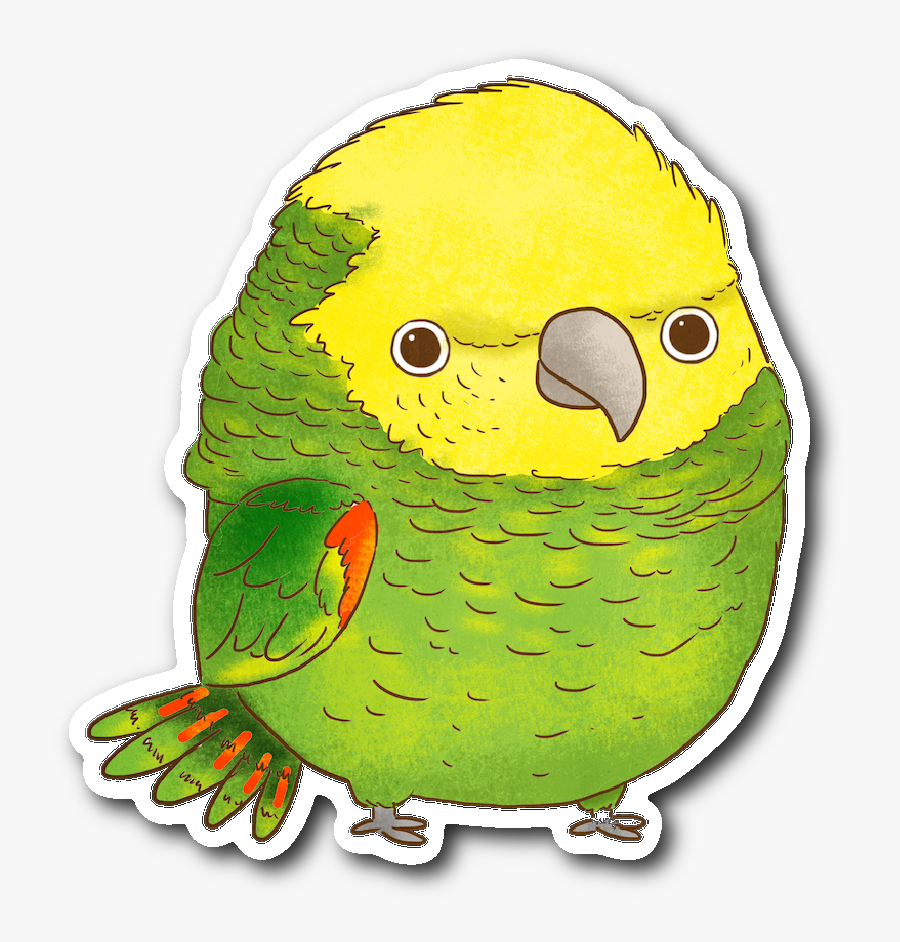 Budgie, Transparent Clipart