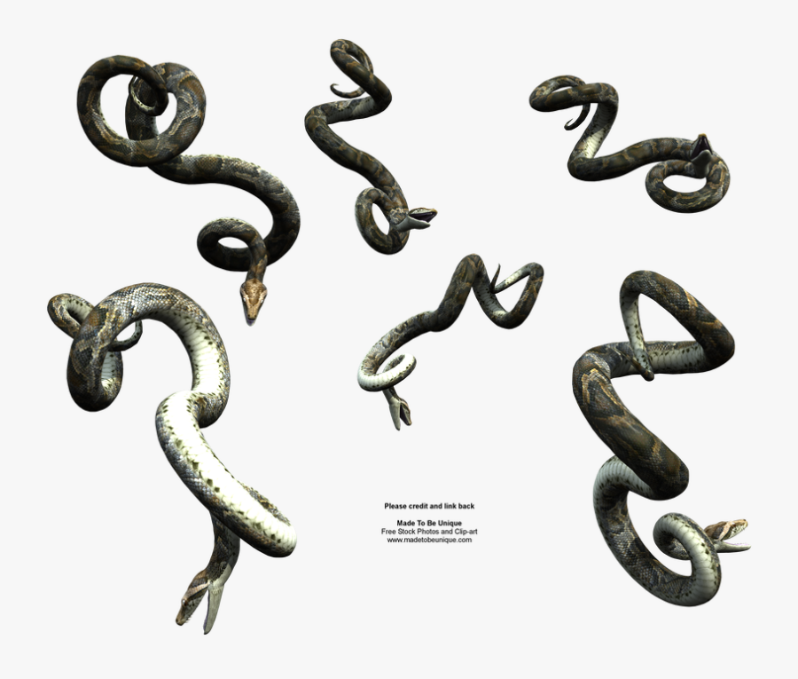 Snake Clipart Realistic - Python Snake, Transparent Clipart