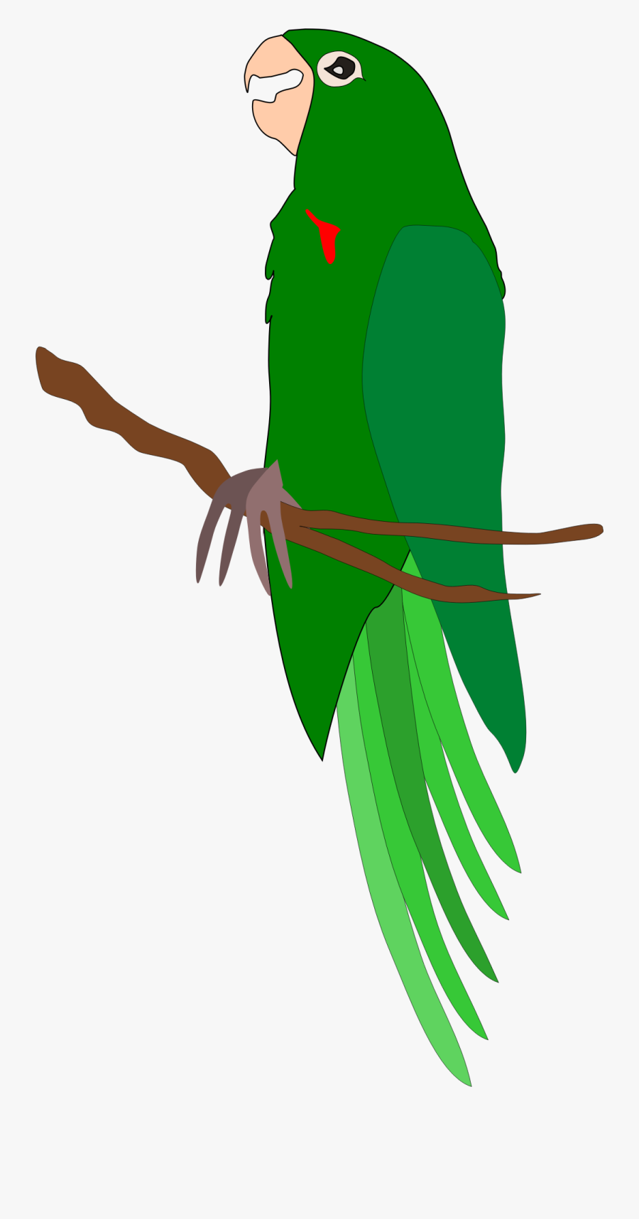 Maritaca Clip Arts - Maritaca Png, Transparent Clipart