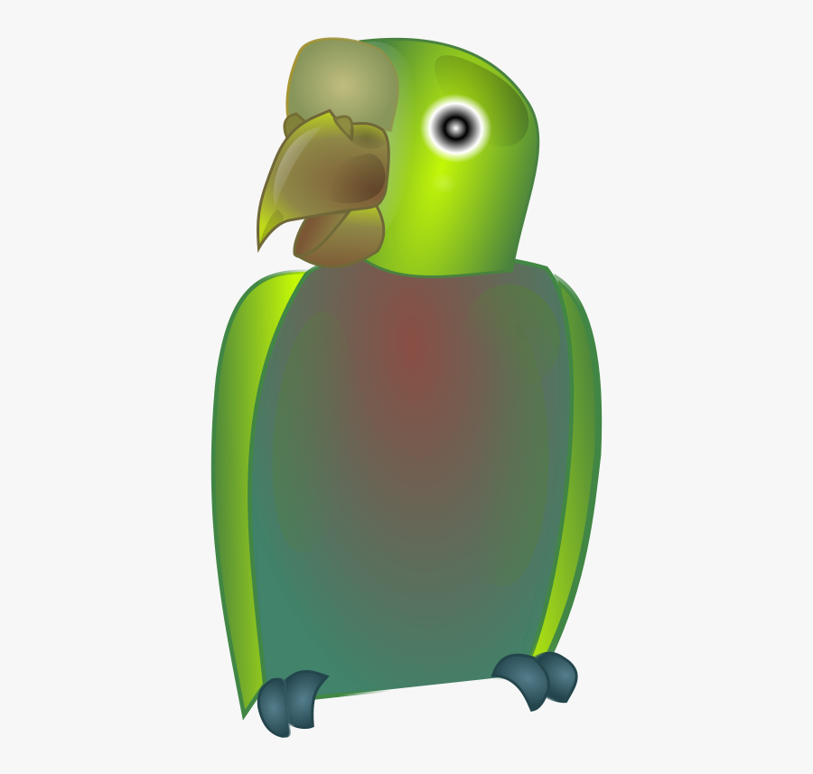 Flightless Bird,parrot,vertebrate - Cue Word, Transparent Clipart