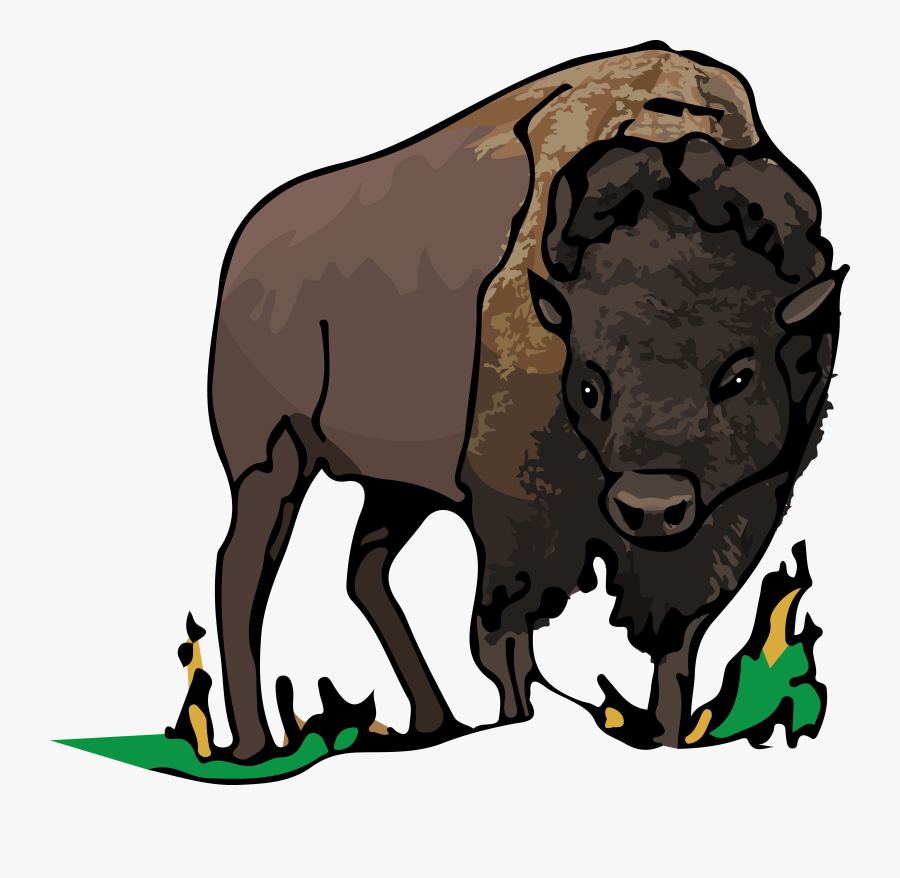 Bull, Transparent Clipart