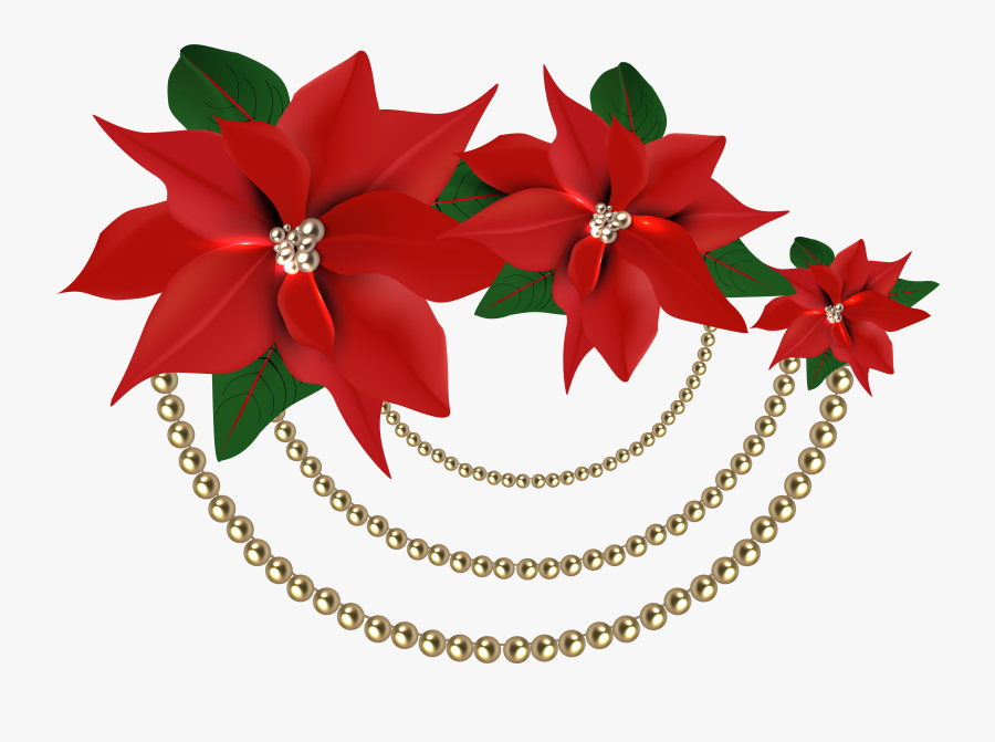 Transparent Png Red Poinsettia, Transparent Clipart