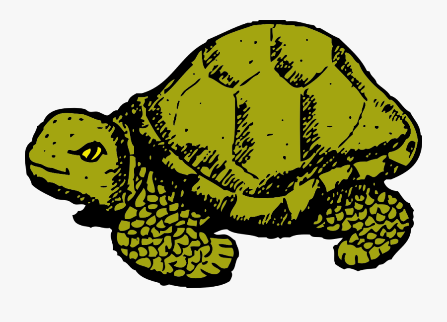Tortoise - Tales A Fourth Grade Nothing, Transparent Clipart