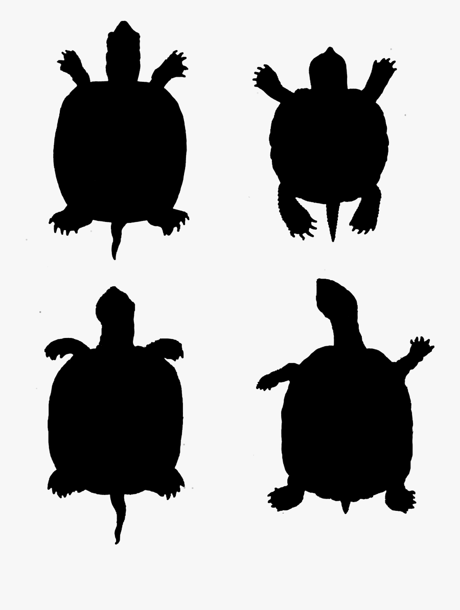 Transparent Turtle Silhouette Png - Tortoise, Transparent Clipart