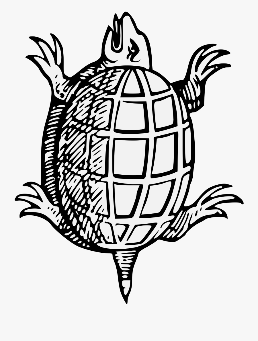 Turtle Heraldry, Transparent Clipart