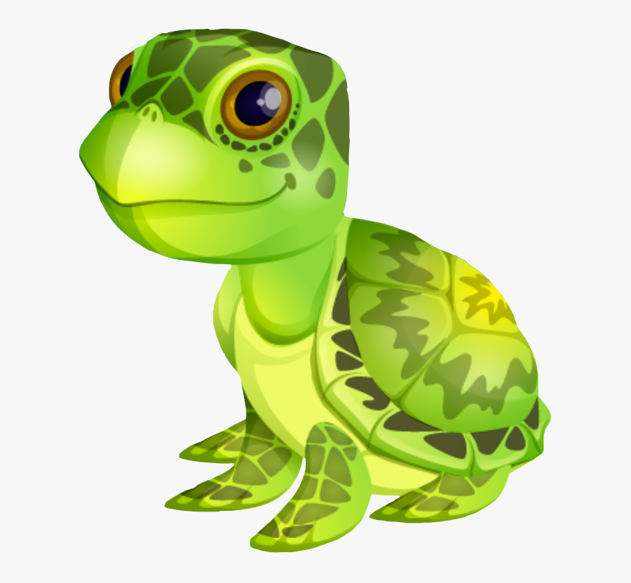 Transparent Tortoise Clipart - Animo Momio, Transparent Clipart