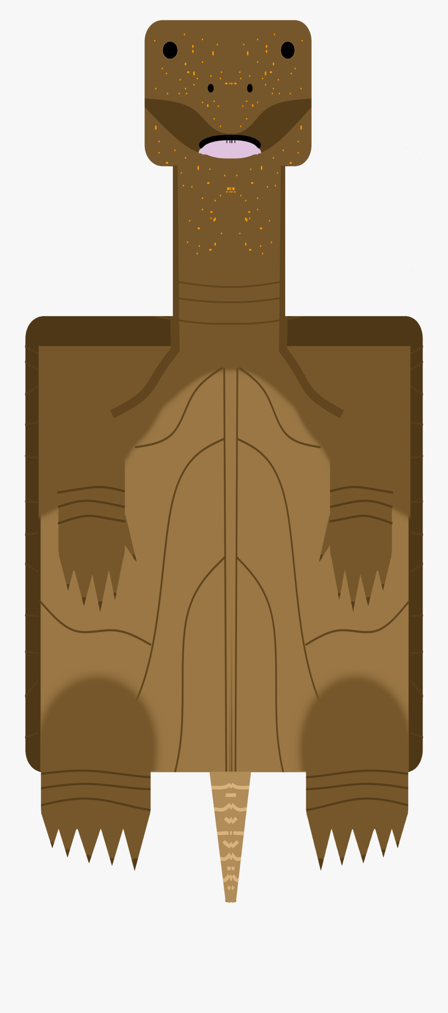 Pinta Island Tortoise Cloning, Transparent Clipart