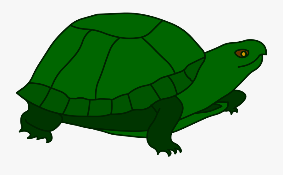 Transparent Turtle Clip Art - Tortoise, Transparent Clipart