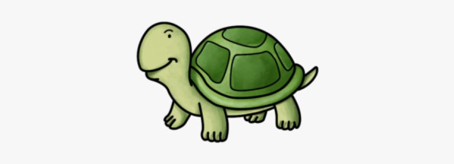 Small Cartoon Tortoise, Transparent Clipart