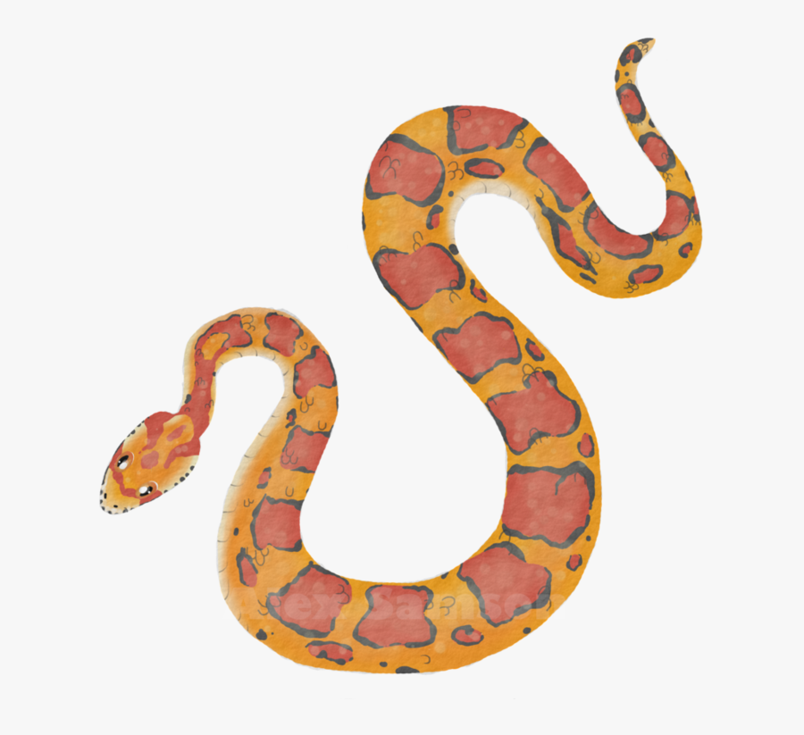 Transparent Snake - Serpent, Transparent Clipart