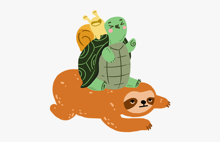 Turtle, Transparent Clipart