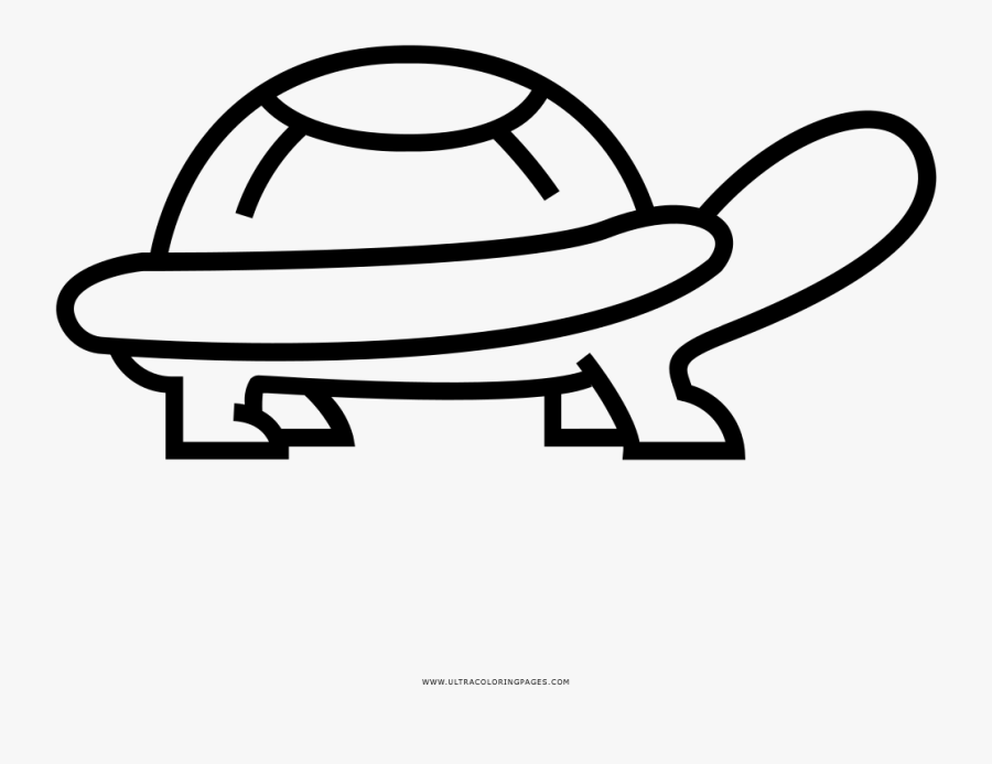 Tortoise Coloring Page - Drawing, Transparent Clipart