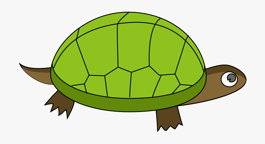 Clip Art , Png Download - Tortoise, Transparent Clipart