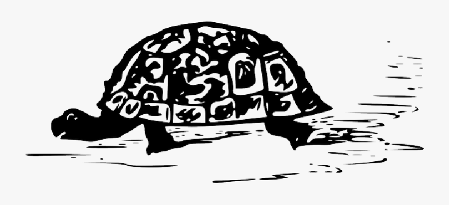 Turtle, Tortoise, Animal, Reptile, Water, Pattern - Black Turtle Svg, Transparent Clipart