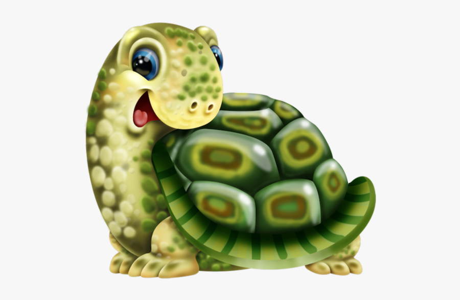 Red Eared Slider, Transparent Clipart
