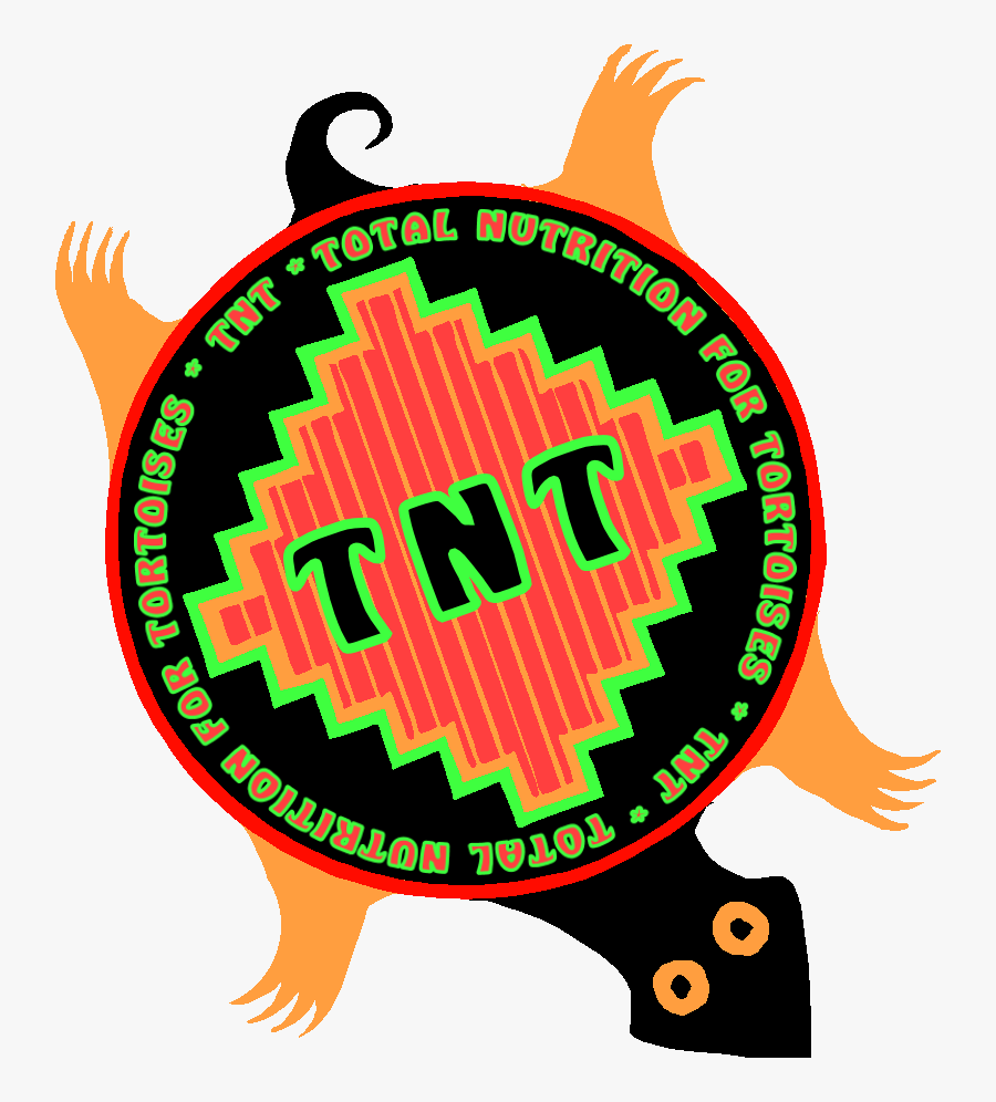 Tnt Tortoise, Transparent Clipart