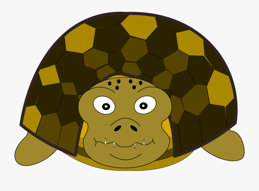 Turtle,reptile,tortoise - Front Side Tortoise Clipart, Transparent Clipart