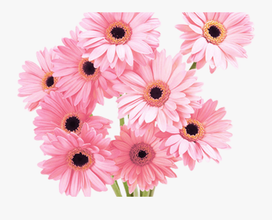 Flowers Pink Tumblr Vaporwave Aesthetic - Flower Png, Transparent Clipart