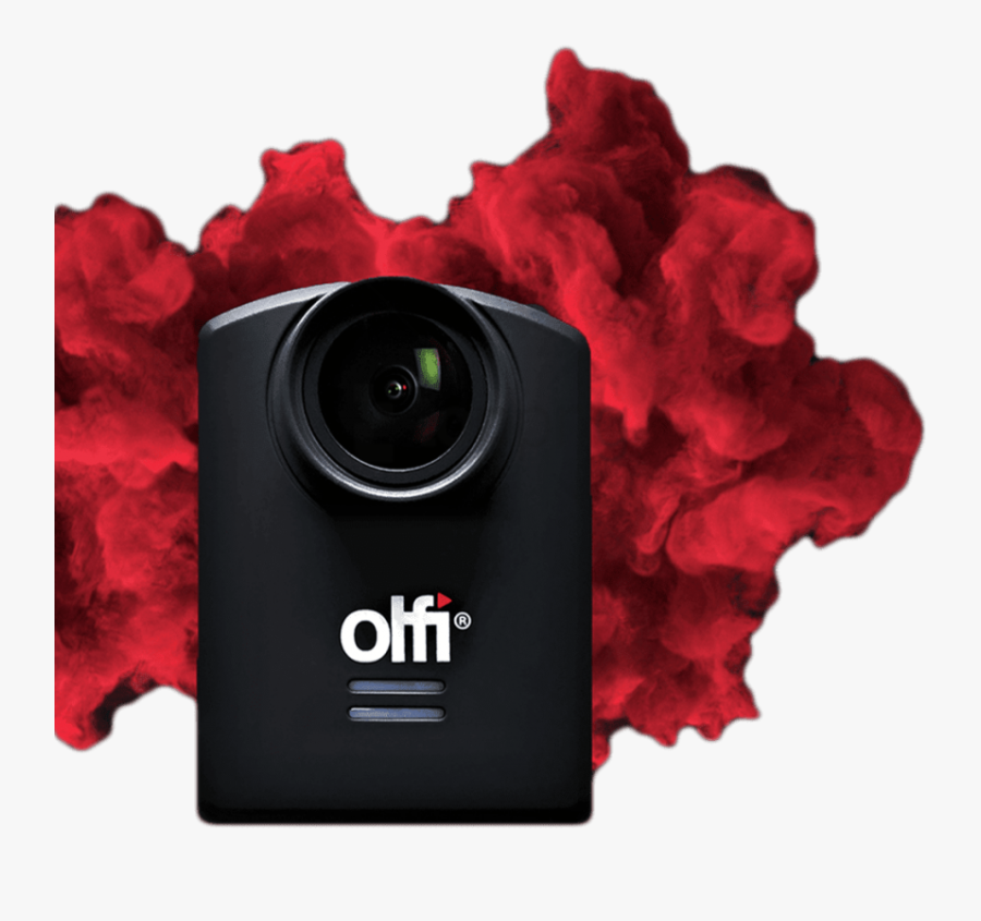 Garden Roses, Transparent Clipart