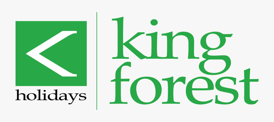 Graphic Design, Transparent Clipart