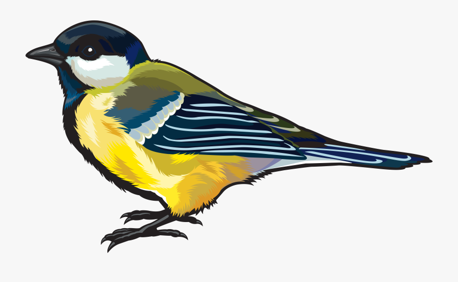 Hd Clipart Png Birds, Transparent Clipart