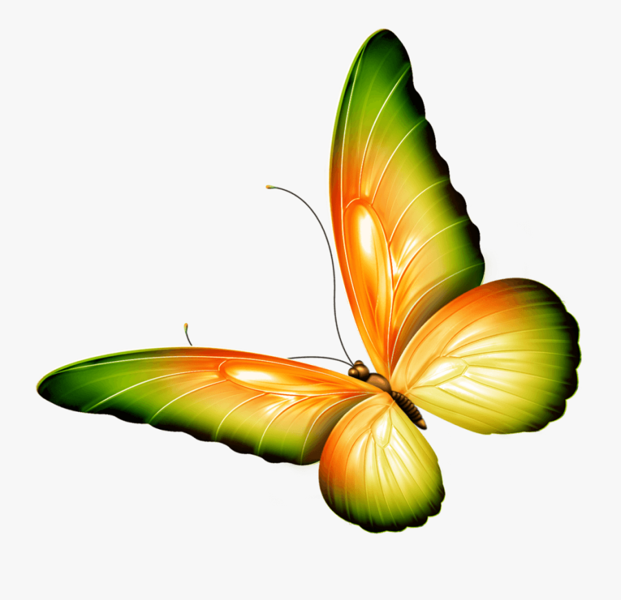 Clip Art Photoshop - Clip Art Transparent Butterflies, Transparent Clipart