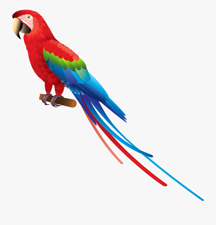 Parrot Png Clipart - Macaw Clipart Transparent, Transparent Clipart