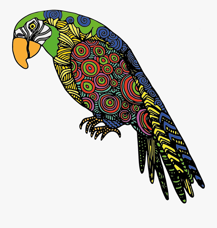 Drawing A Colourful Parrot, Transparent Clipart