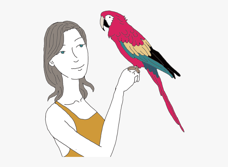 Parrot Tea Leaf Meaning - طوطی در فال قهوه, Transparent Clipart