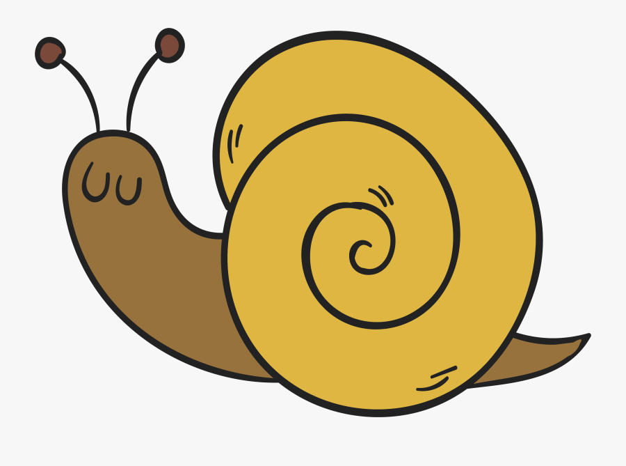 Mollusc Clipart Mango , Png Download - Transparent Background Snail Clip Art, Transparent Clipart