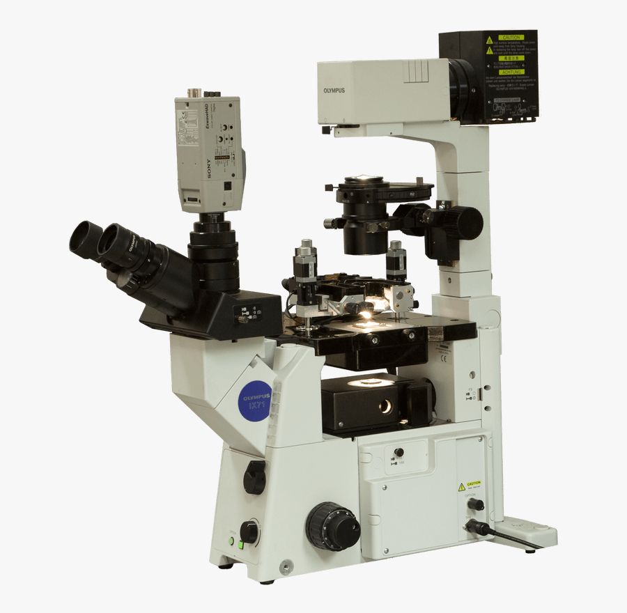 Certus Optic Atomic Force Microscope - Scanning Probe Microscope Transparent, Transparent Clipart