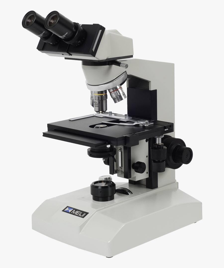 25877 - Compound Microscope, Transparent Clipart