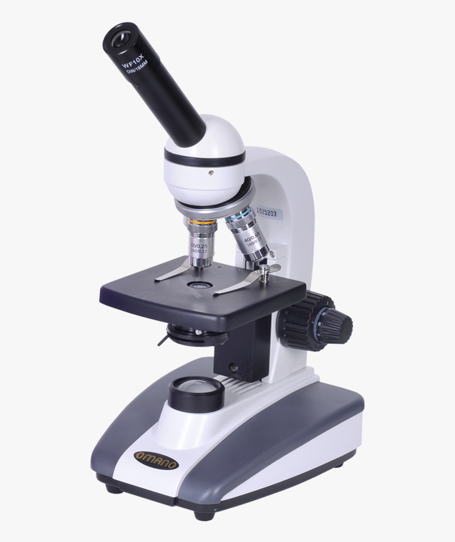 Microscope Pictures - Required Practical Microscopy, Transparent Clipart