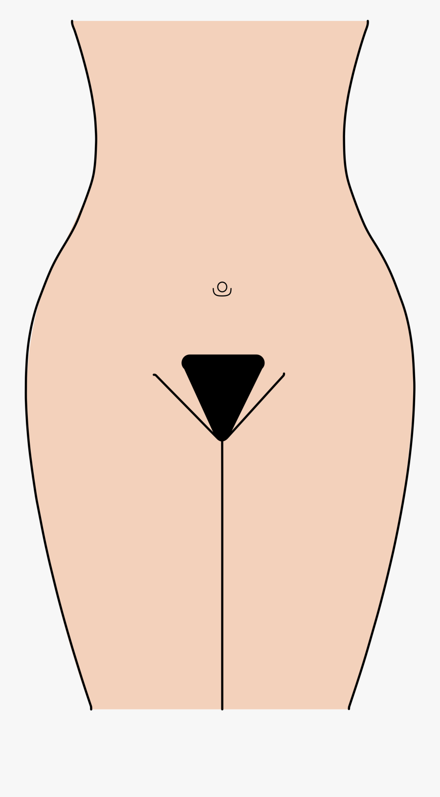 Illustration, Transparent Clipart