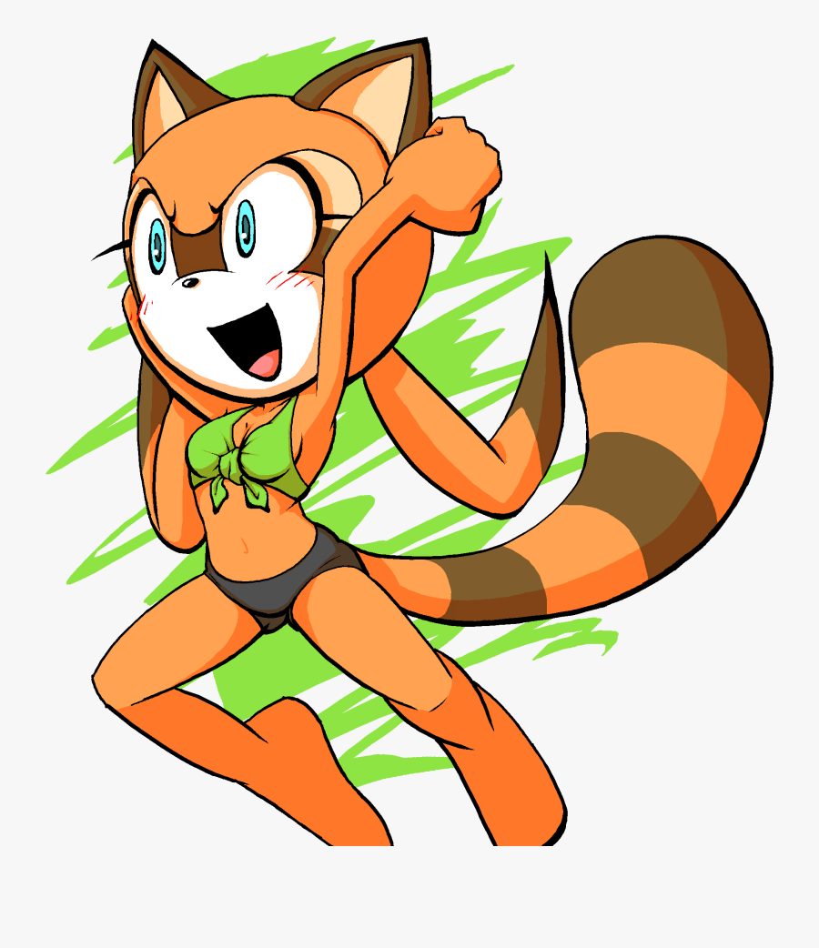 Sonic Rush Adventure Segasonic The Hedgehog Sonic Riders - Sonic The Hedgehog Summer, Transparent Clipart