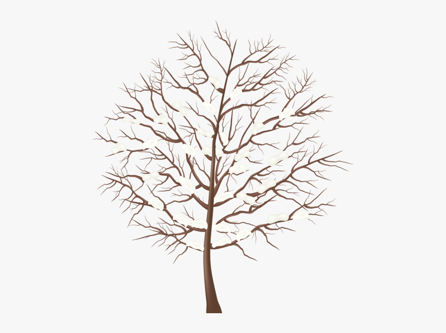 Winter Tree Clipart Transparent, Transparent Clipart