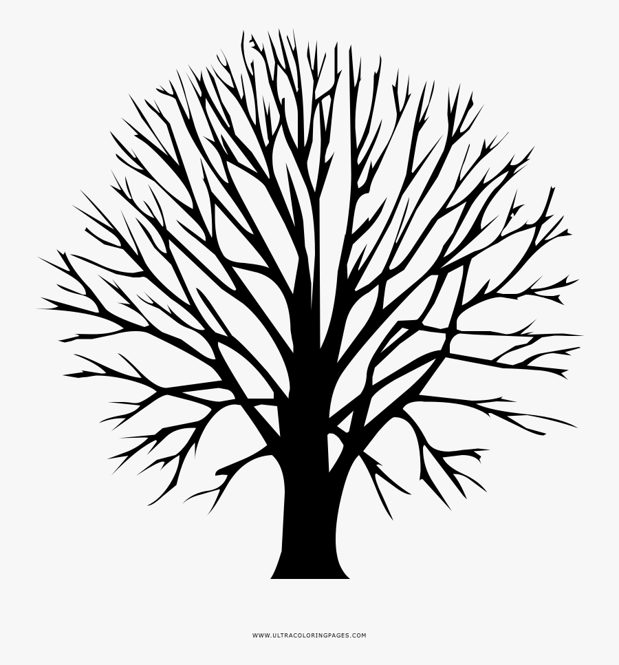 Apache Directory Logo, Transparent Clipart