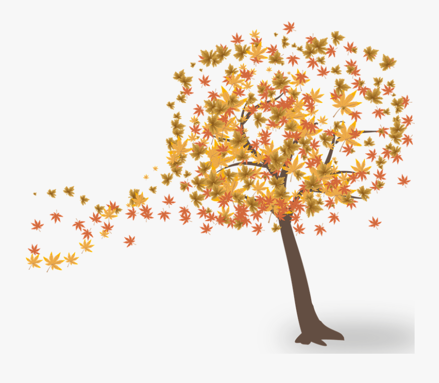 Tree, Leaves, Autumn, Nature, Leaf, Green, Branches - Árvore Outono Png, Transparent Clipart
