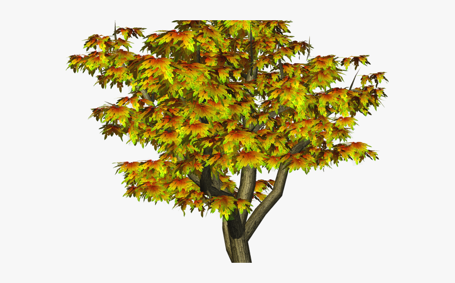 Transparent Fall Tree Clipart - Cb Photo Editing Png, Transparent Clipart