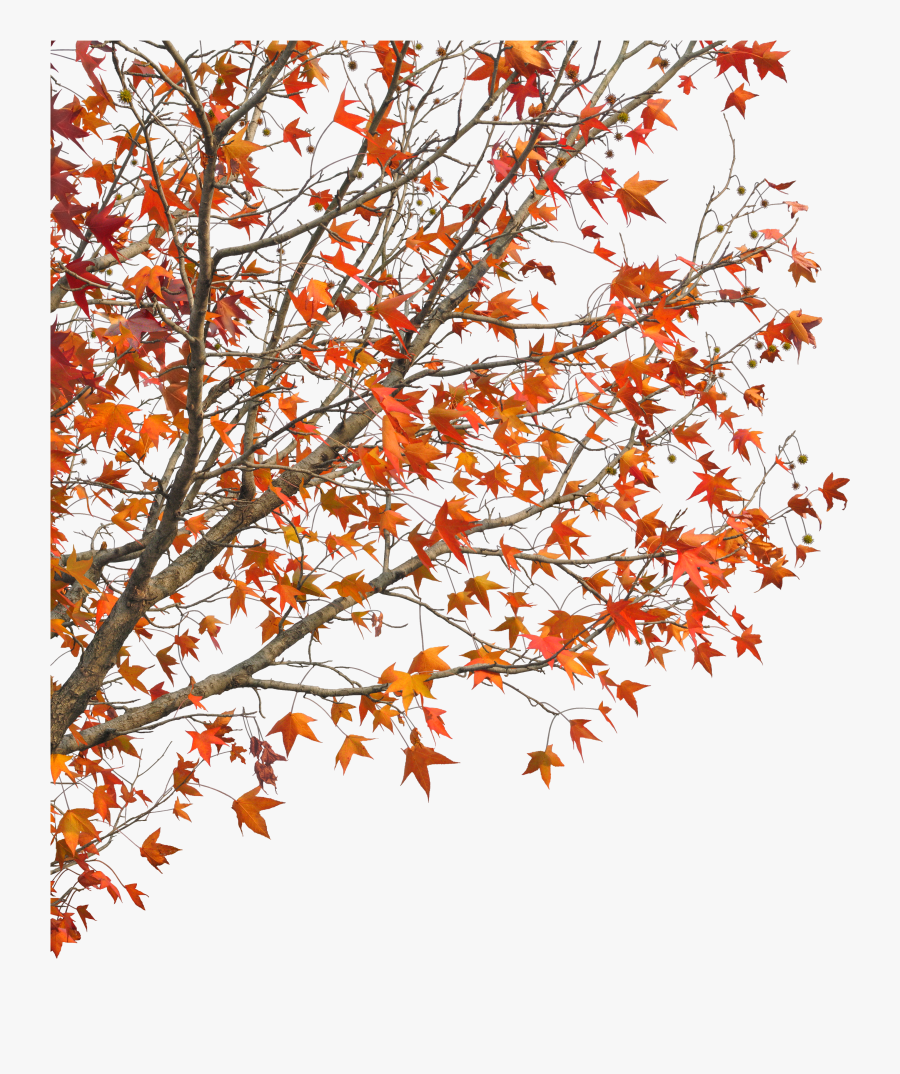 Clip Art Demaotang Maple Hotel Red - 建筑, Transparent Clipart