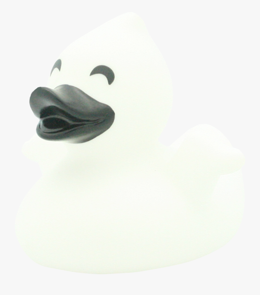 Duck, Transparent Clipart