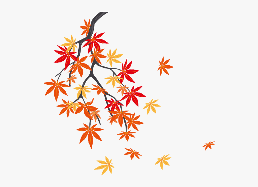 #autumn #summer #winter #leaf #leafs #leaves #fall - 枫叶 树, Transparent Clipart
