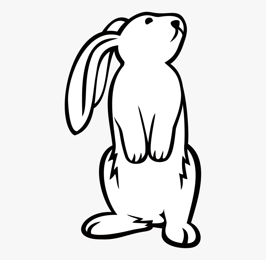 Bunny By Onsemeliot A - Bunny Standing Up Drawing, Transparent Clipart