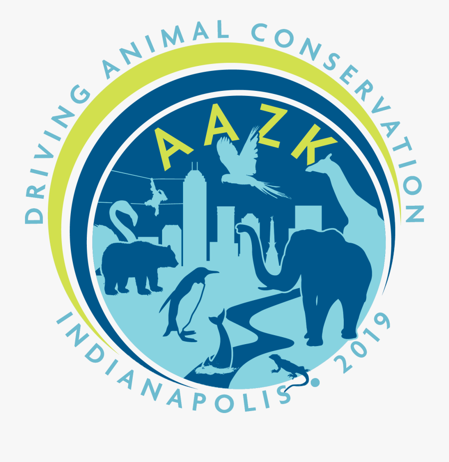 Indy Aazk - Oregon Bears, Transparent Clipart