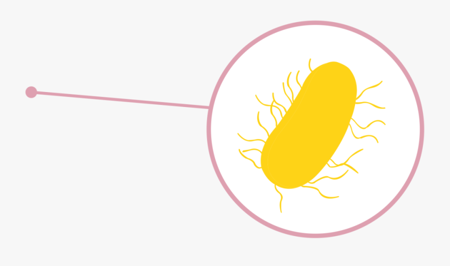 Germs For Kids What - Green Bullseye, Transparent Clipart