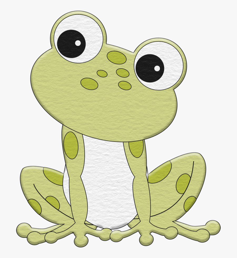 Sapo Dibujo, Transparent Clipart